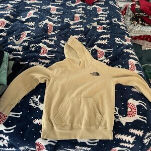 The North Face Youth Beige Hoodie Sweater